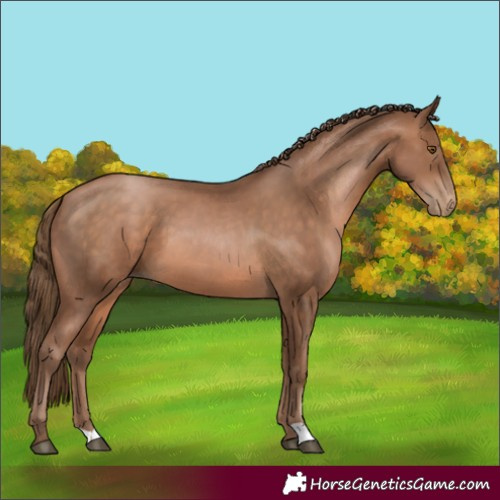 Horse Color:Brown Pearl 