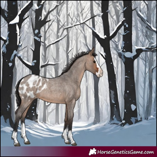 Horse Color:Brown Roan Dun Splash Blanket 