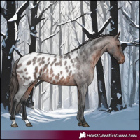 Horse Color:Brown Roan Near Leopard 