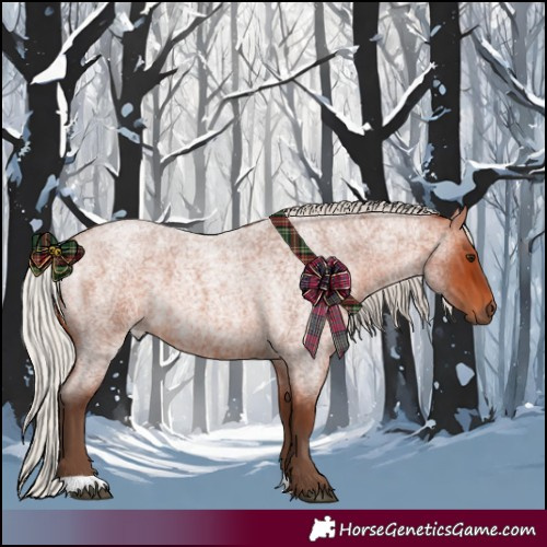 Horse Color:Silver Bay Roan 