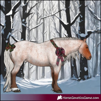 Horse Color:Silver Bay Roan 
