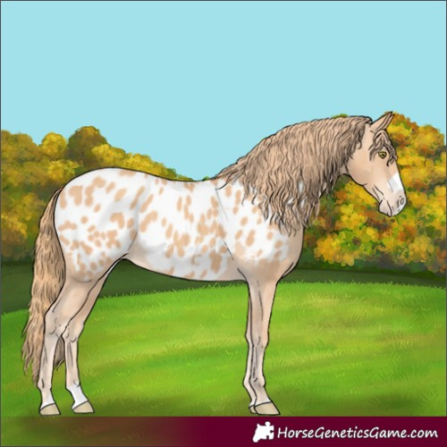 Horse Color:Gold Champagne Splash Frame Near Leopard 