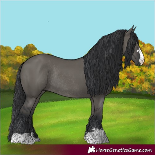 Horse Color:Grullo Rabicano