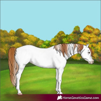 Horse Color:Chestnut Tobiano Near Fewspot 