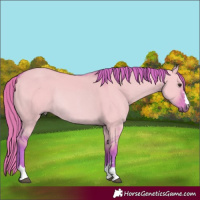 Horse Color:Watercolor Red Dun Rabicano