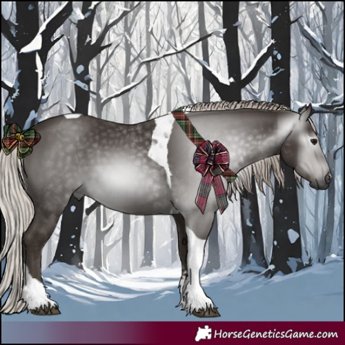 Horse Color:Gray Silver Black Tobiano 