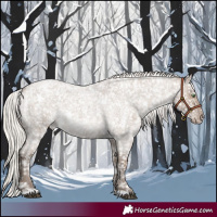 Horse Color:White Spotted Silver Grullo Roan Appaloosa Rabicano 