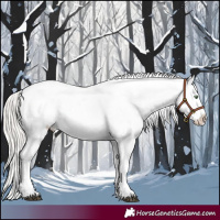 Horse Color:White Spotted Silver Grullo Roan Appaloosa Rabicano 