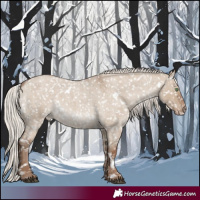 Horse Color:White Spotted Silver Grullo Roan Appaloosa 
