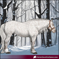 Horse Color:Silver Grullo Roan Tobiano Snowflake Varnish 