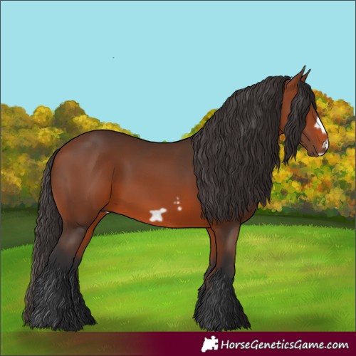 Horse Color:Bay Frame
