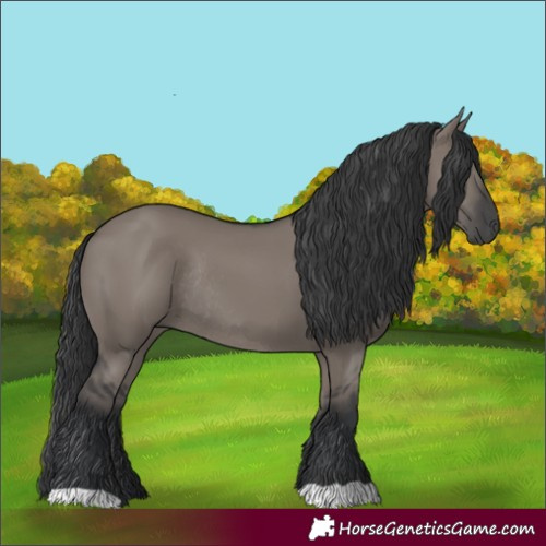 Horse Color:Grullo Rabicano 