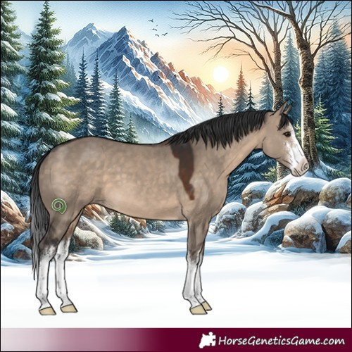 Horse Color:White Spotted Brown Dun 