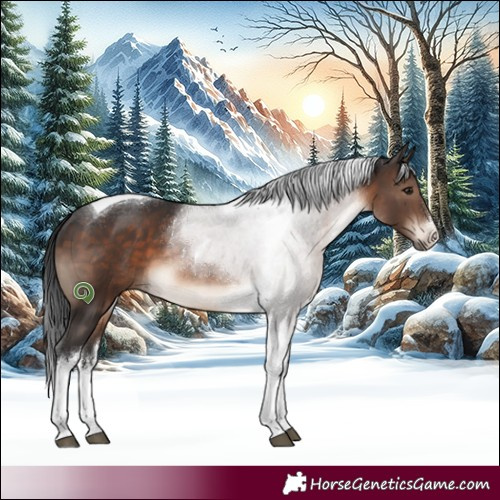 Horse Color:White Spotted Brown Tobiano 
