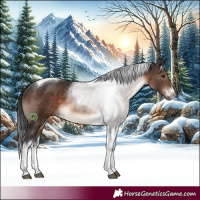 Horse Color:White Spotted Brown Tobiano