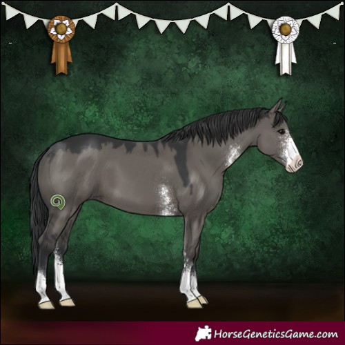 Horse Color:Grullo Sabino 