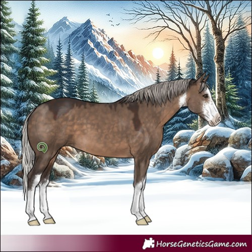 Horse Color:White Spotted Silver Brown Dun