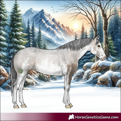 Horse Color:White Spotted Brown Dun 