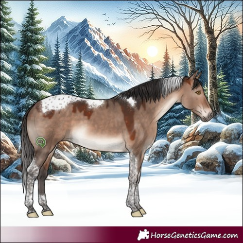 Horse Color:Bay Dun Mushroom Tobiano