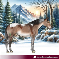 Horse Color:Bay Dun Mushroom Tobiano 