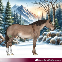 Horse Color:Liver Red Dun