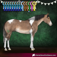 Horse Color:White Spotted Bay Dun Tobiano 