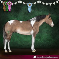 Horse Color:White Spotted Bay Dun Tobiano 