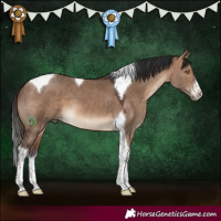 Horse Color:White Spotted Bay Dun Tobiano 