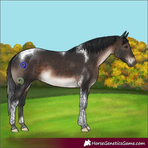 Horse Color:Brown Mushroom Tobiano