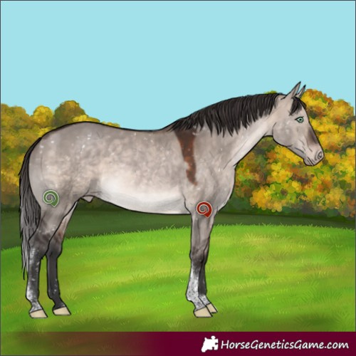 Horse Color:Brown Dun Mushroom Tobiano Snowflake Varnish 