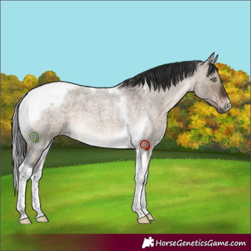 Horse Color:Brown Roan Dun Mushroom Tobiano 