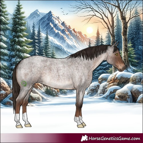 Horse Color:Liver Red Roan 