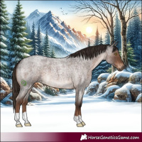 Horse Color:Liver Red Roan