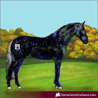 Horse Color:ERROR: UNKNOWN ANOMALY