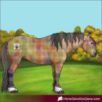 Horse Color:Gray Nacre Plaid  Buckskin 