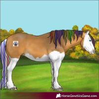 Horse Color:Painted Buckskin Splash 