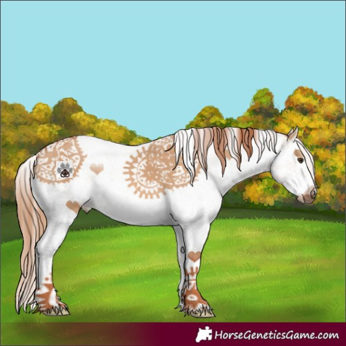 Horse Color:White Spotted Red Dun 