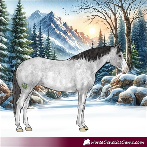 Horse Color:Smoky Blue Roan Sabino Rabicano