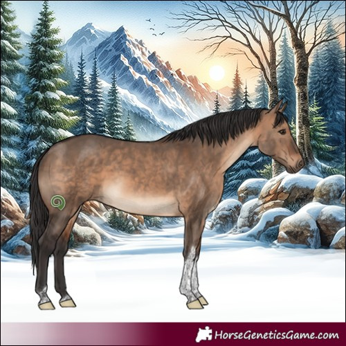 Horse Color:White Spotted Brown Dun Tobiano 