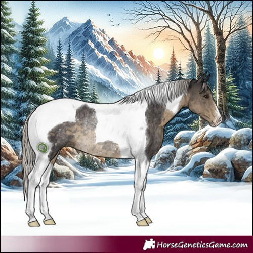 Horse Color:Silver Smoky Black Tobiano Rabicano 