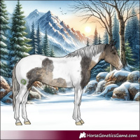 Horse Color:Silver Smoky Black Tobiano Rabicano