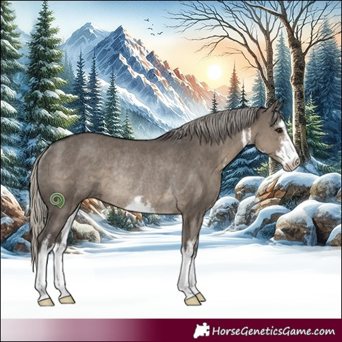 Horse Color:White Spotted Silver Smoky Grullo Rabicano