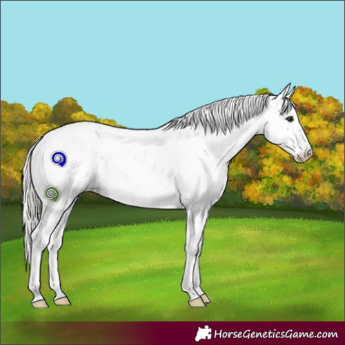Horse Color:Silver Grullo Sabino 
