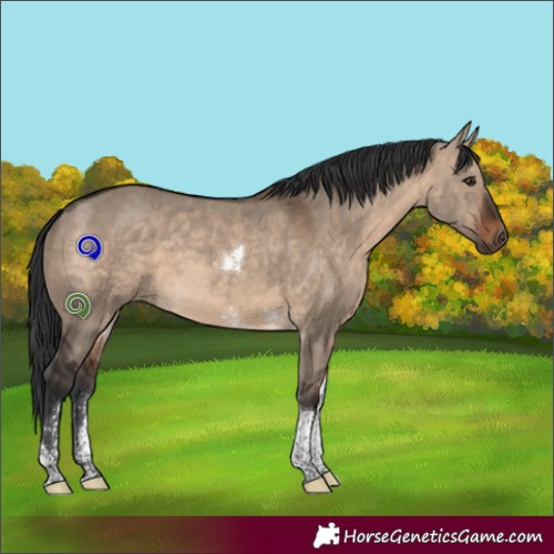 Horse Color:Brown Dun Sabino Tobiano 
