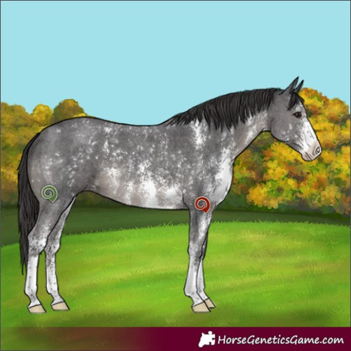 Horse Color:Smoky Black Sabino 