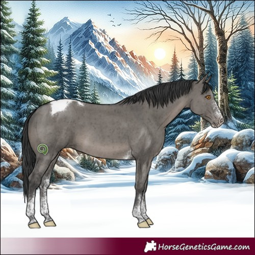 Horse Color:Grullo Sabino Tobiano