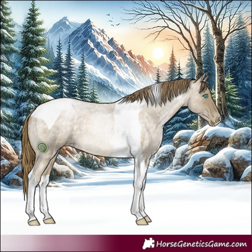 Horse Color:Buckskin Roan Pearl Tobiano 
