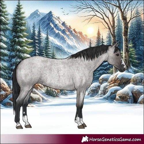 Horse Color:Grullo Roan Rabicano 