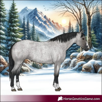 Horse Color:Grullo Roan Rabicano