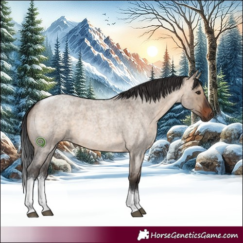 Horse Color:Brown Roan Dun Tobiano Rabicano